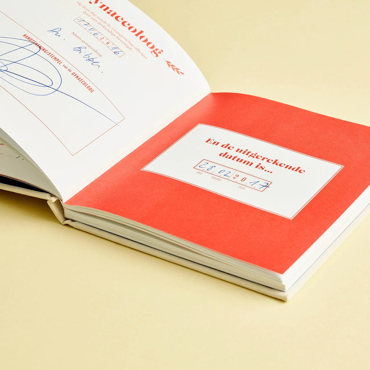 9 maanden invulboek stratier dieter coppens in de buik van mama beige