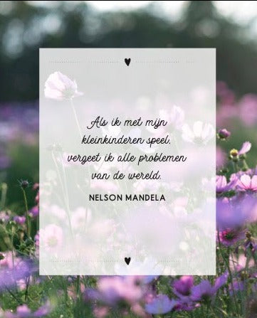 Boek • Oma Voor Beginners