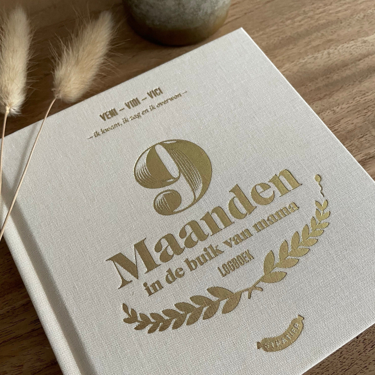 9 maanden invulboek stratier dieter coppens in de buik van mama beige