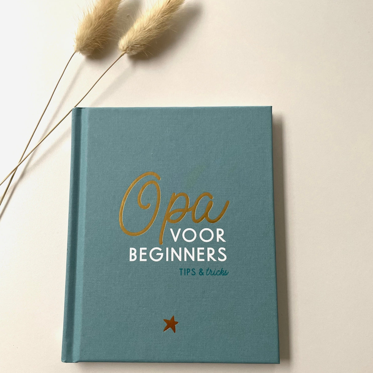 Boek • Opa Voor Beginners