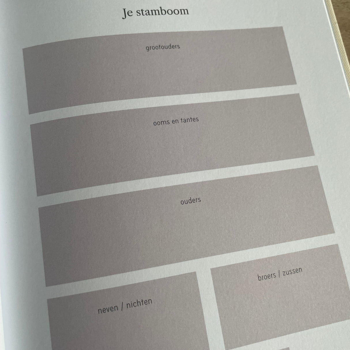 Invulboek • Milestone Baby Journal