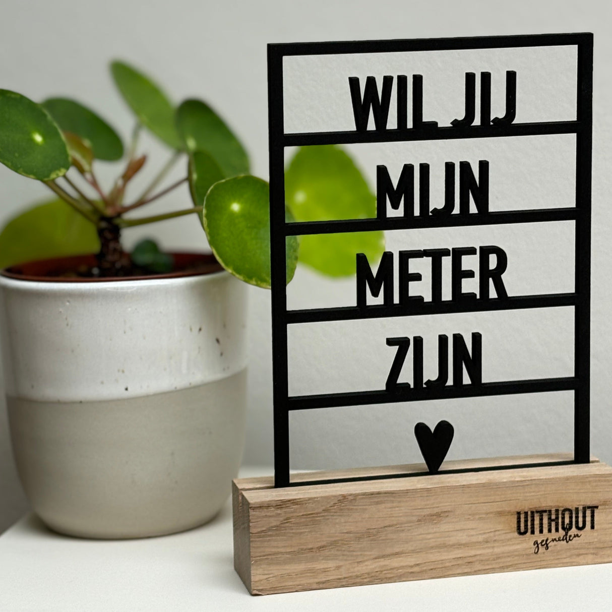 Houten Frame • Wil Je Mijn Meter Zijn?
