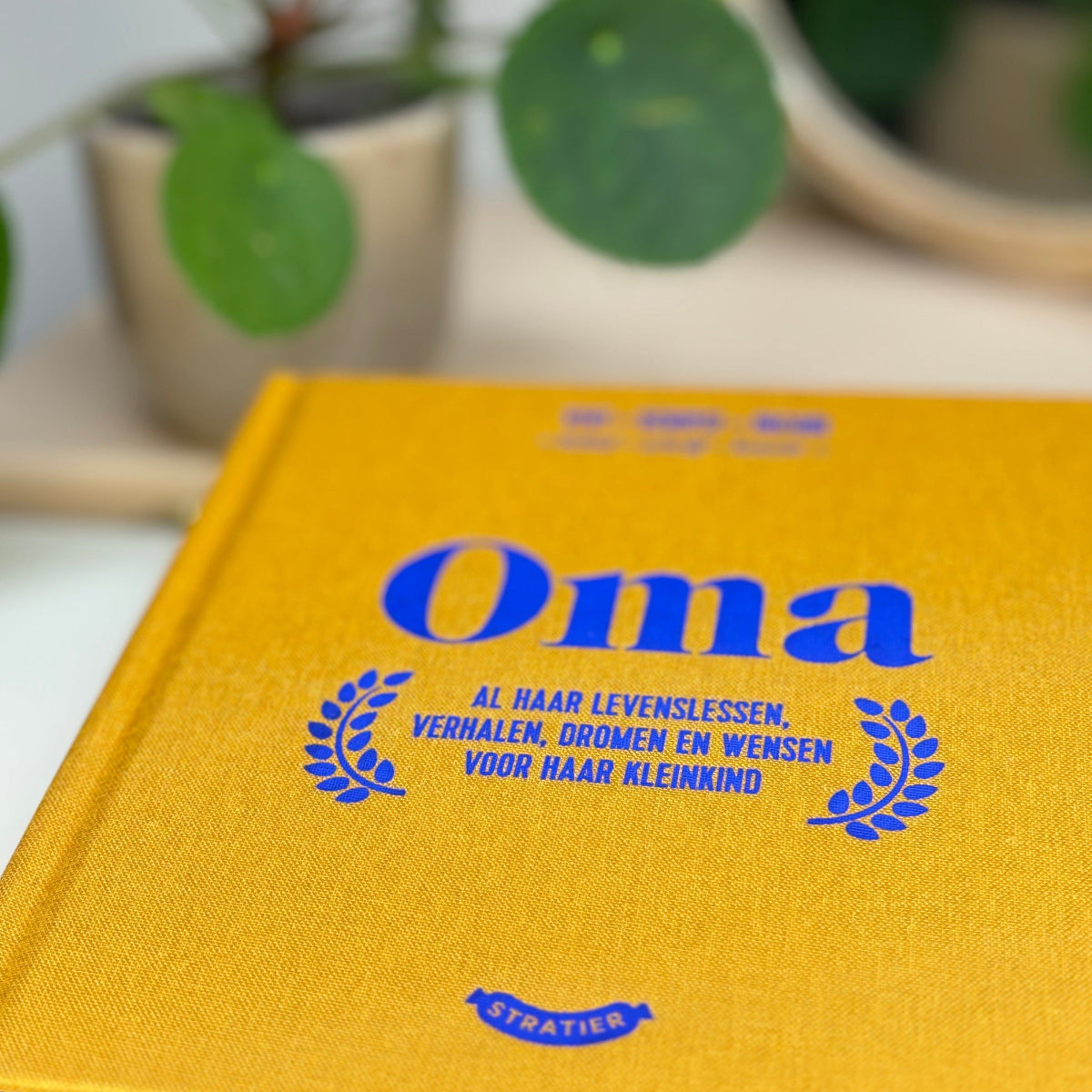 oma boek stratier dieter coppens invulboek