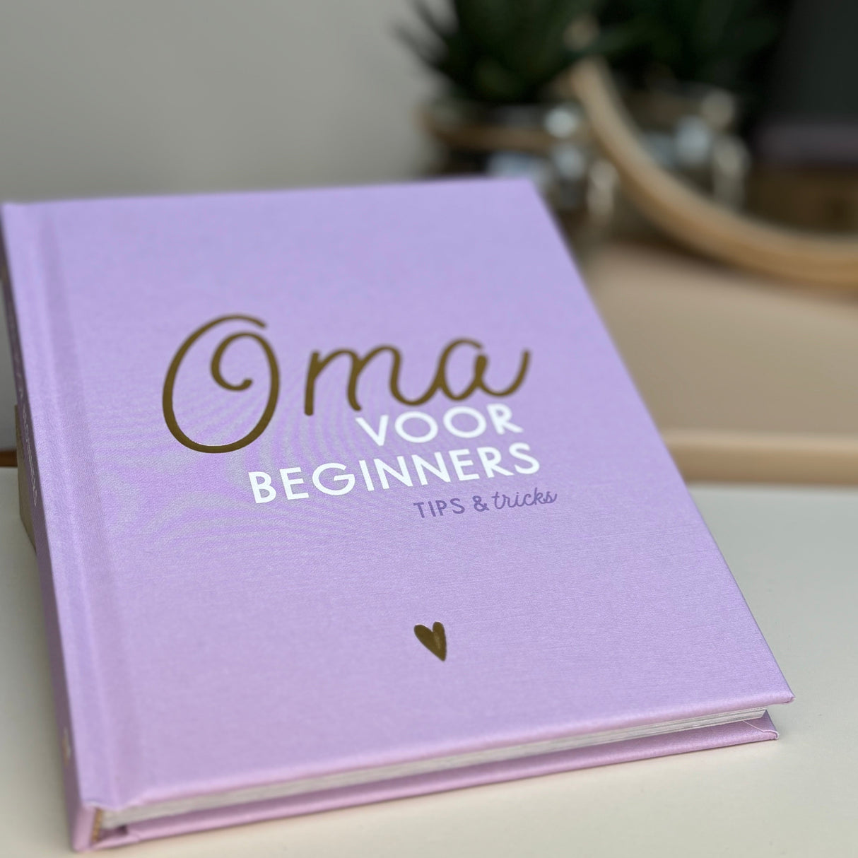 Boek • Oma Voor Beginners