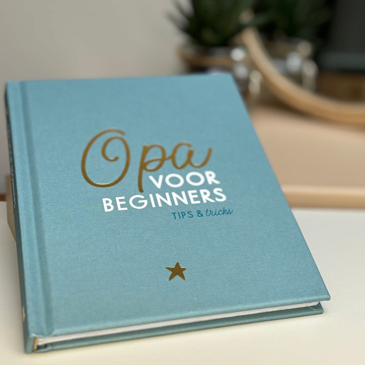 Boek • Opa Voor Beginners