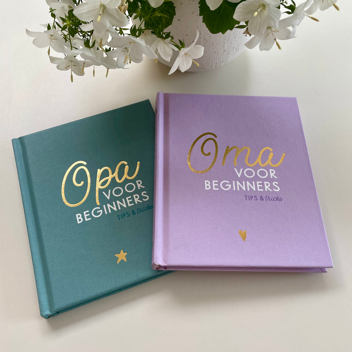 Boek • Oma Voor Beginners