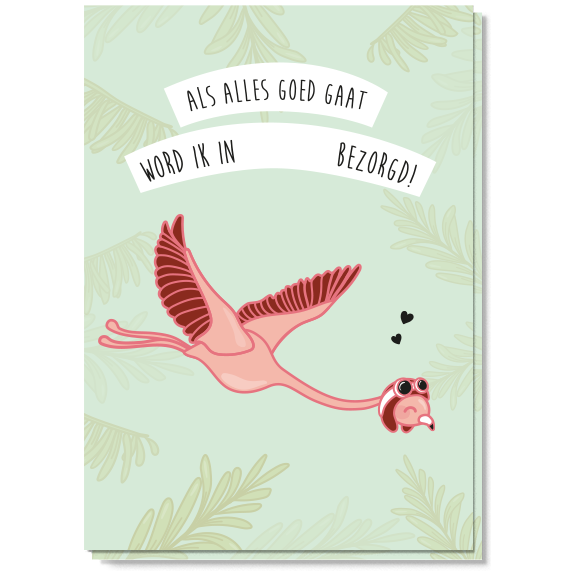 Zwangerschap Aankondiging • Flamingo