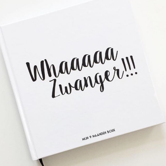 Mijn 9 maanden | Invulboek - HelloBaby.be