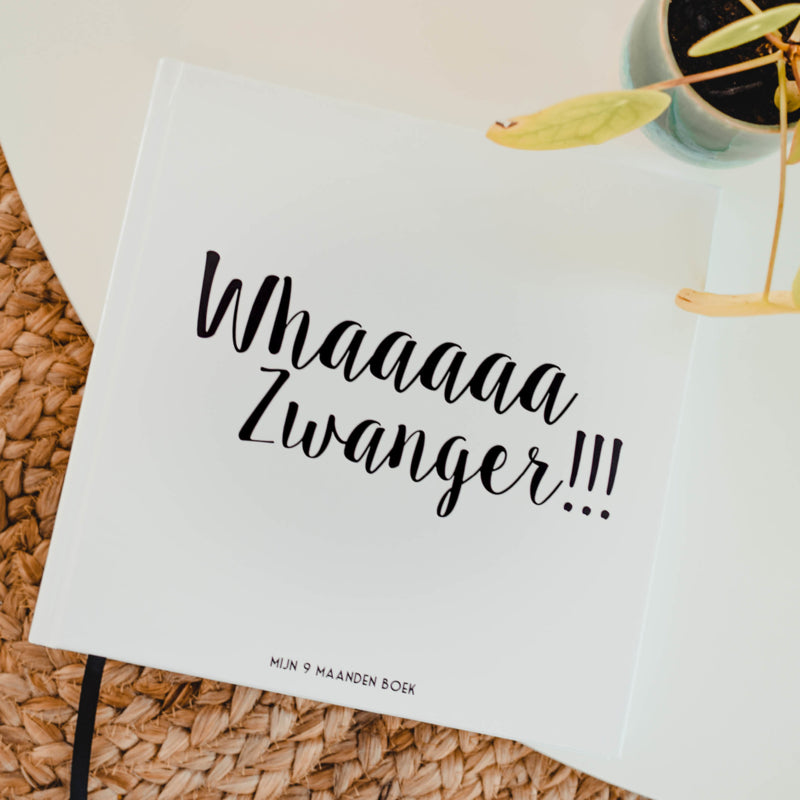 Mijn 9 maanden | Invulboek - HelloBaby.be