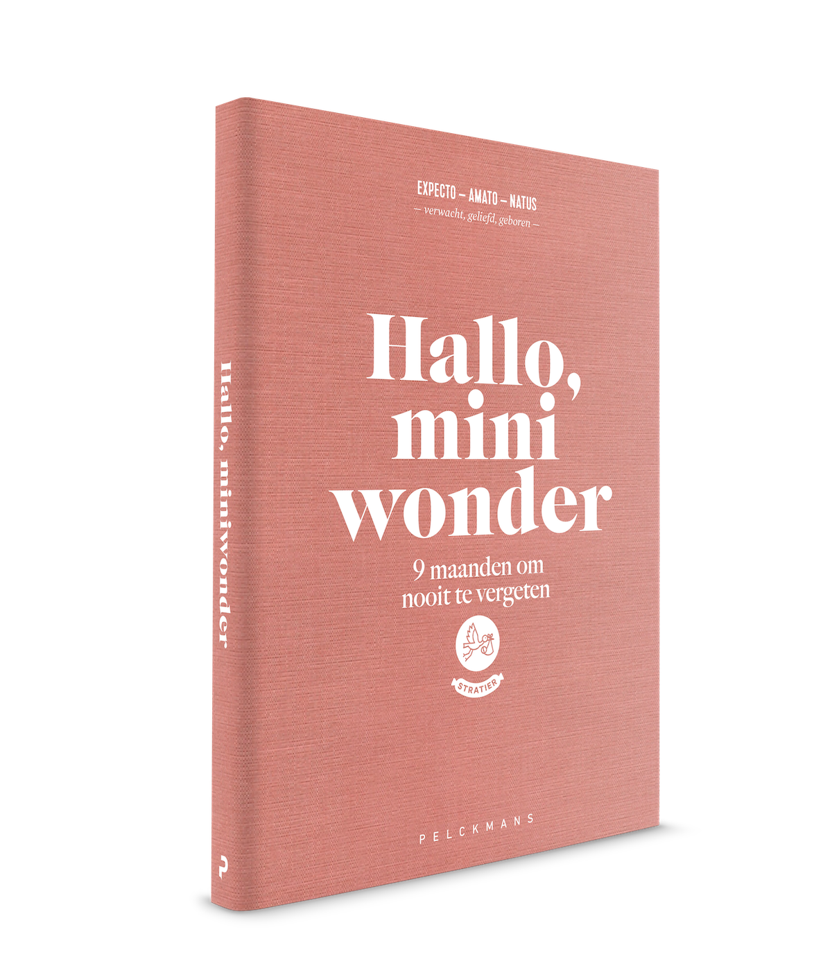 invulboek hallo mini wonder zwanger zwangerschap stratier dieper coppens 9 maanden boek