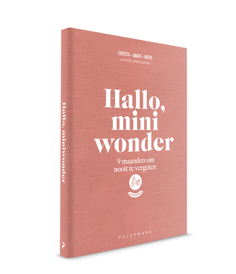 invulboek hallo mini wonder zwanger zwangerschap stratier dieper coppens 9 maanden boek