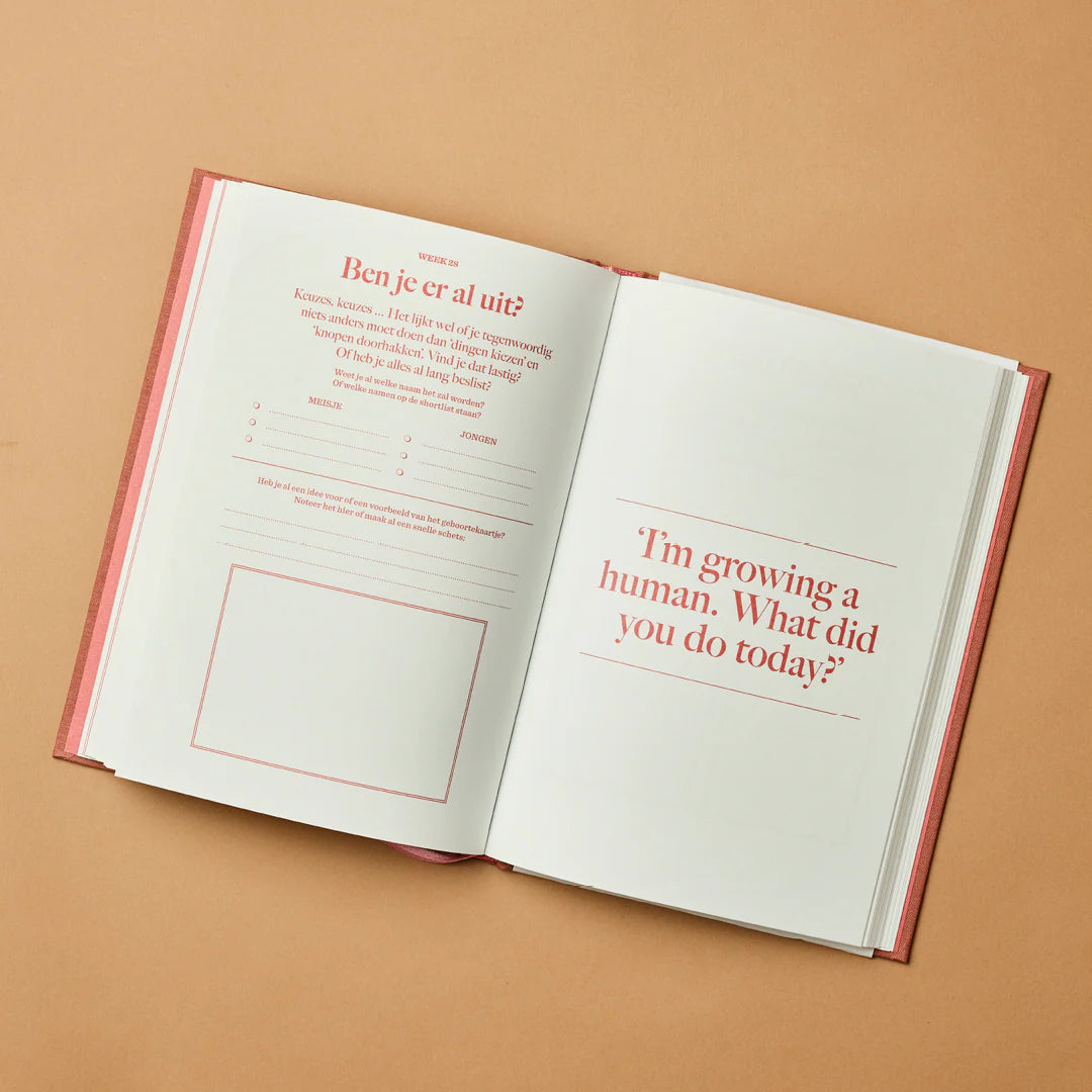 invulboek hallo mini wonder zwanger zwangerschap stratier dieper coppens 9 maanden boek